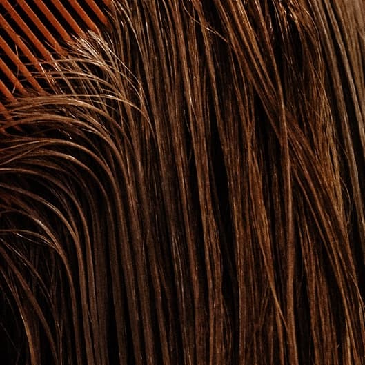 ✂️ HAIRCUT PACKAGE ✂️ at Zen Hair Studio in Woodstock, GA